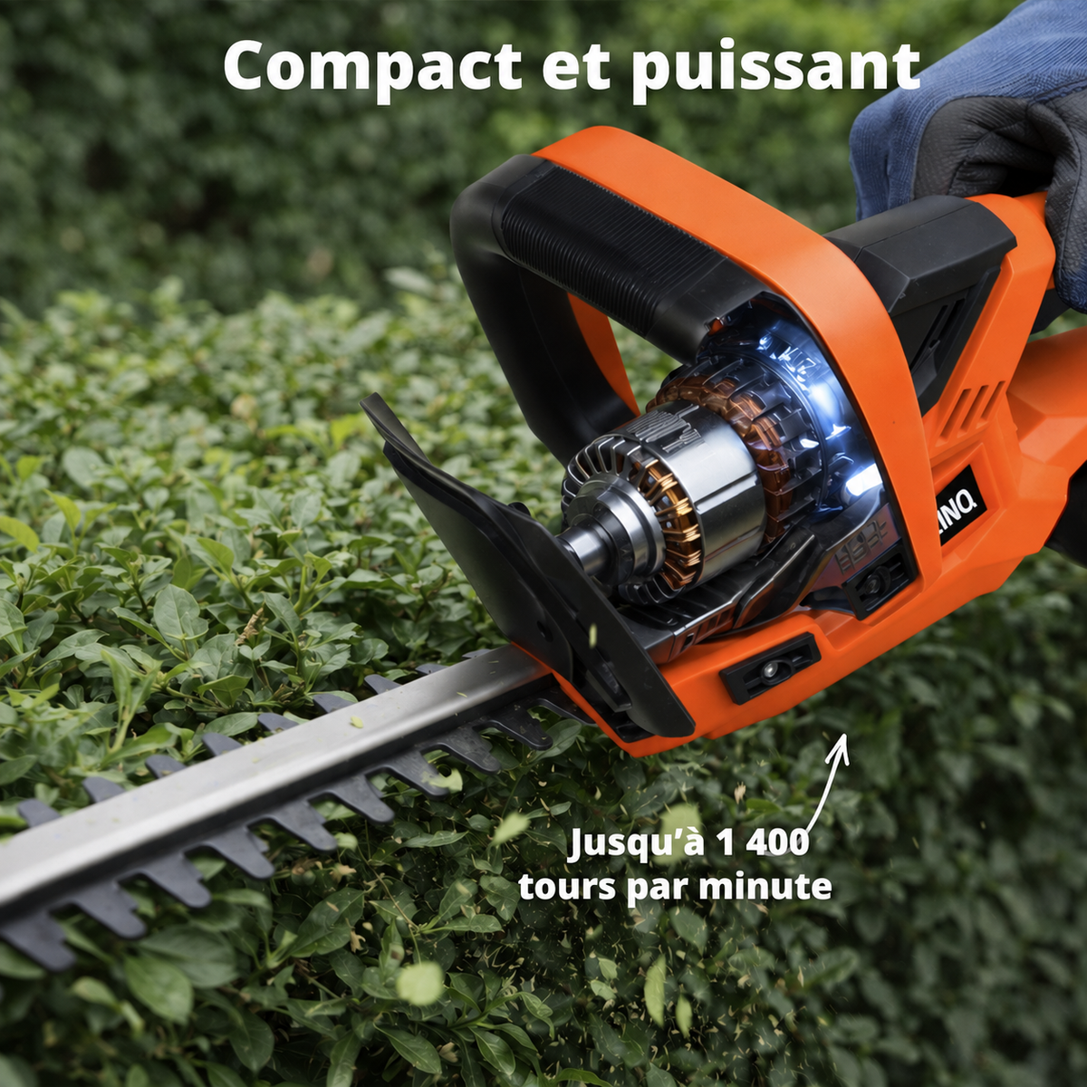 Taille-haies 50 cm + batterie 20 V et chargeur
