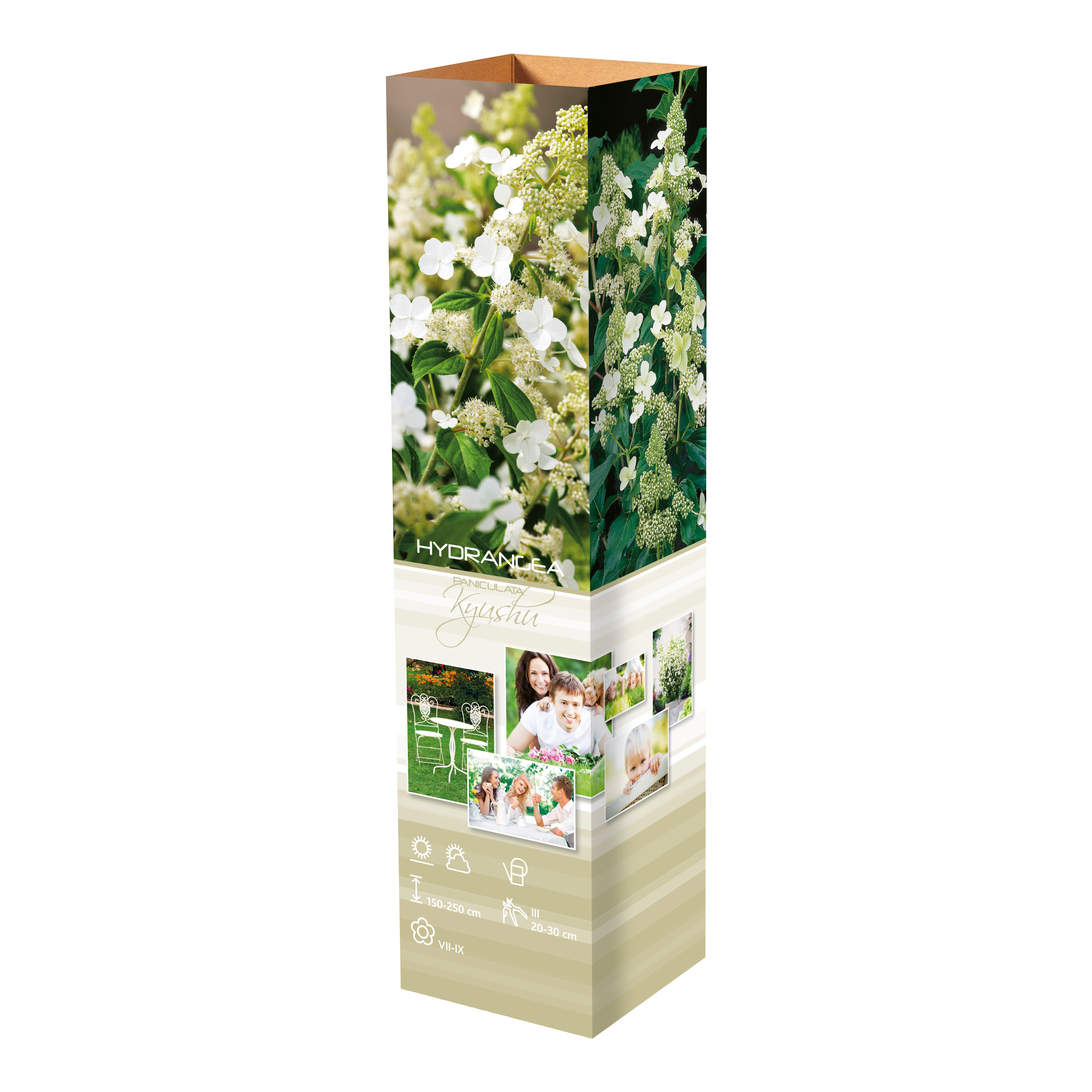Lot de 8 hortensias : 2 roses blancs, 2 roses, 2 bleus, 2 blancs - 30-38 cm