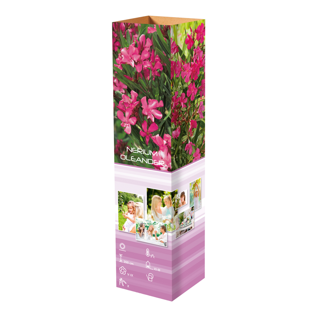 Lot de 12 plantes méditerranéennes : 2 oliviers, 2 figuiers, 2 citronniers, 2 orangers, 2 lauriers roses, 2 oiseaux du paradis - 25-38 cm