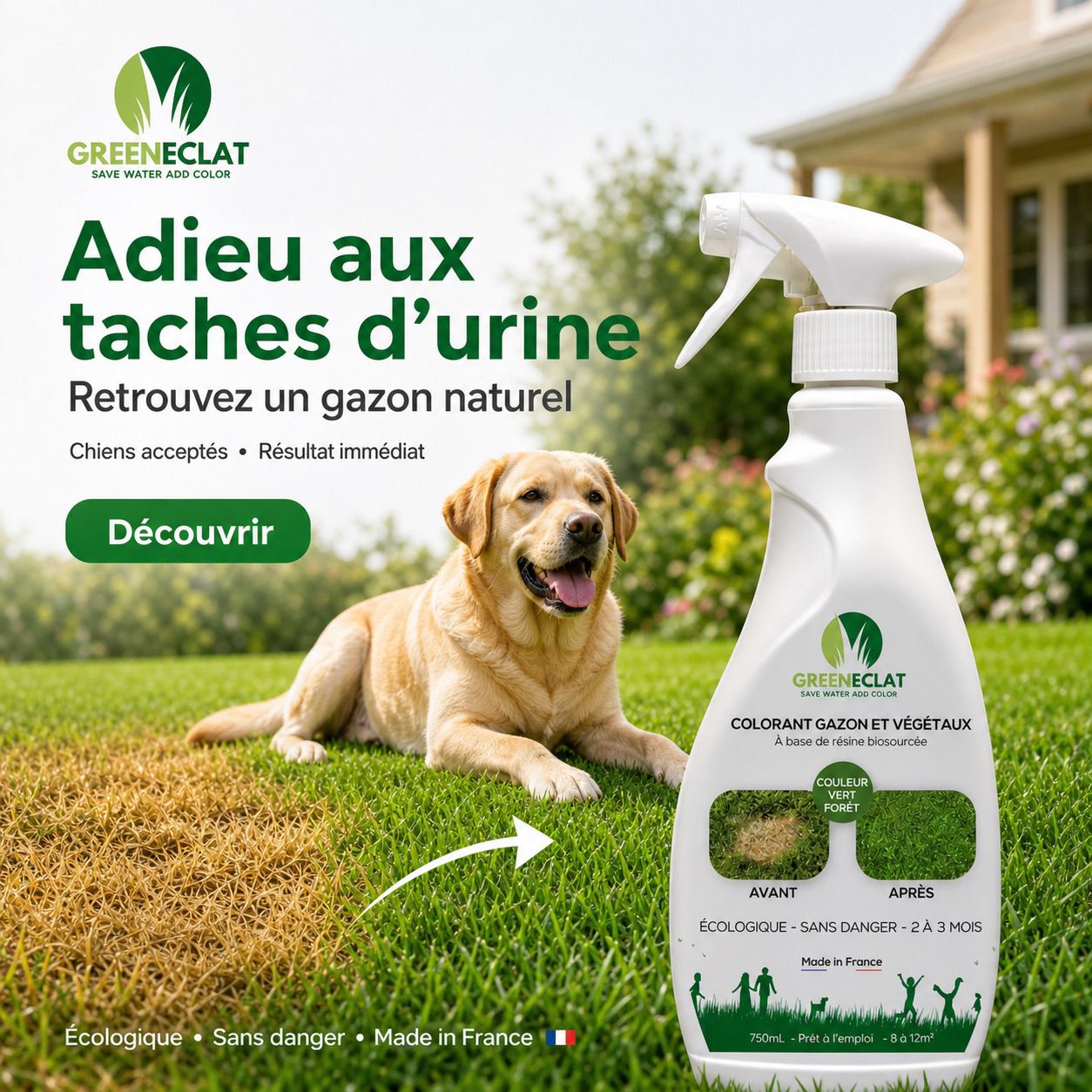 Colorant naturel gazon et thuyas vert forêt - résultat immédiat - 750ml + 2 recharges