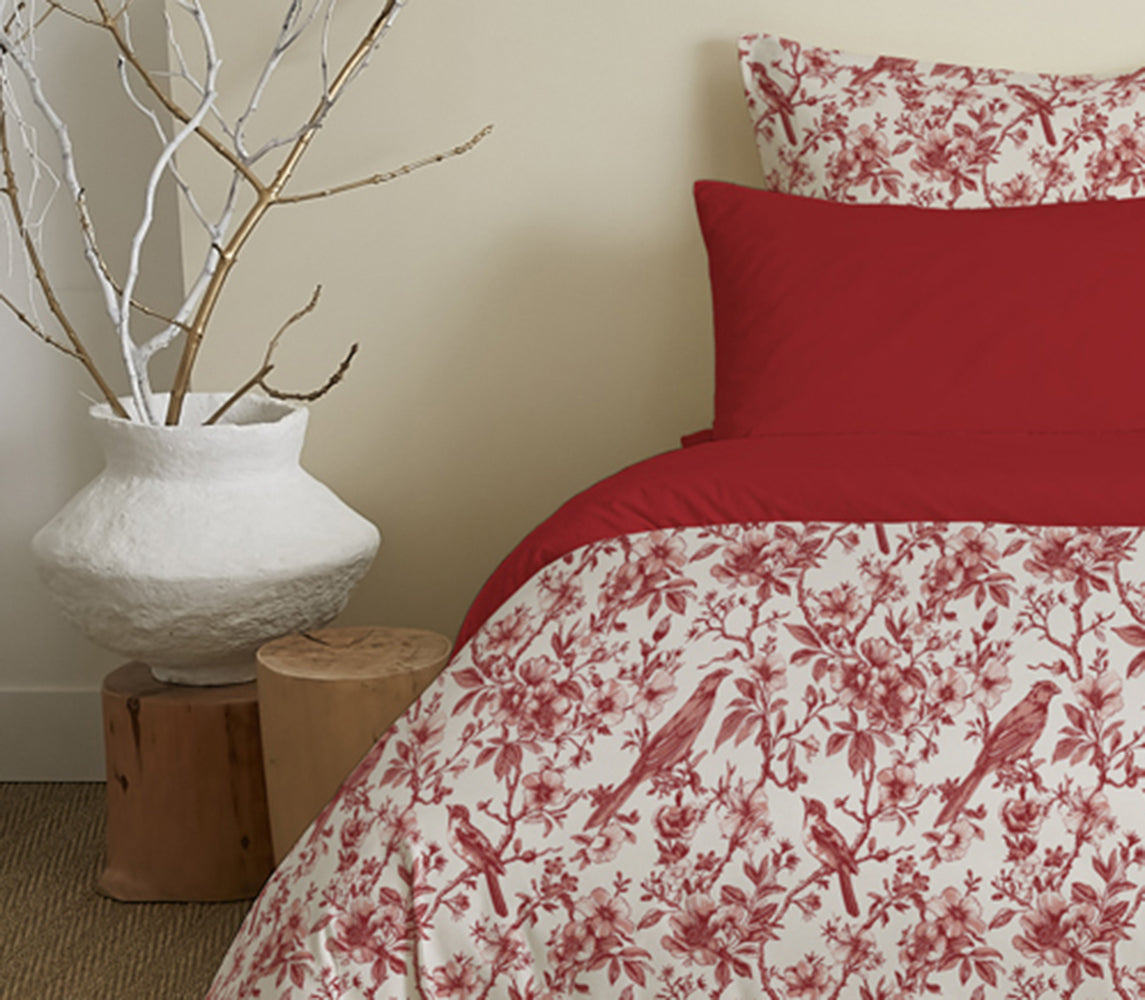 Pack 6 pièces Housse de couette Imprimé 240 x 260 cm - Drap housse 180 x 200 cm - 100% Coton 57 Fils