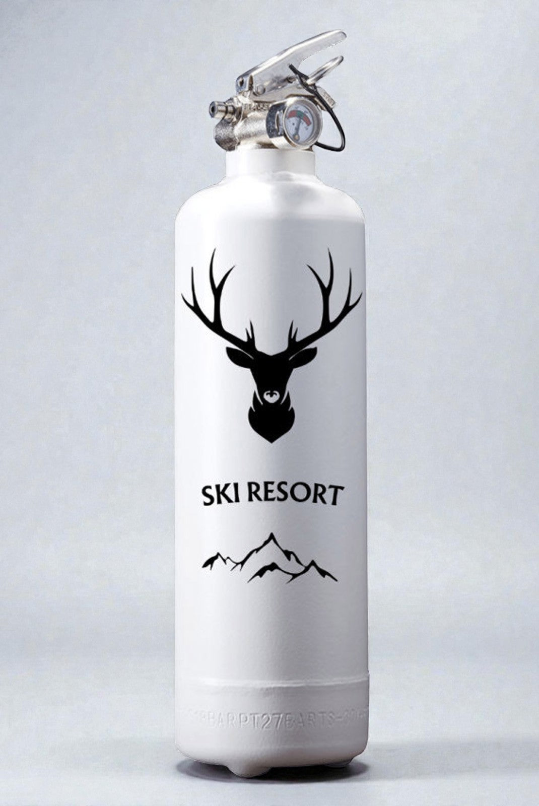 Extincteur  1kg ski resort
