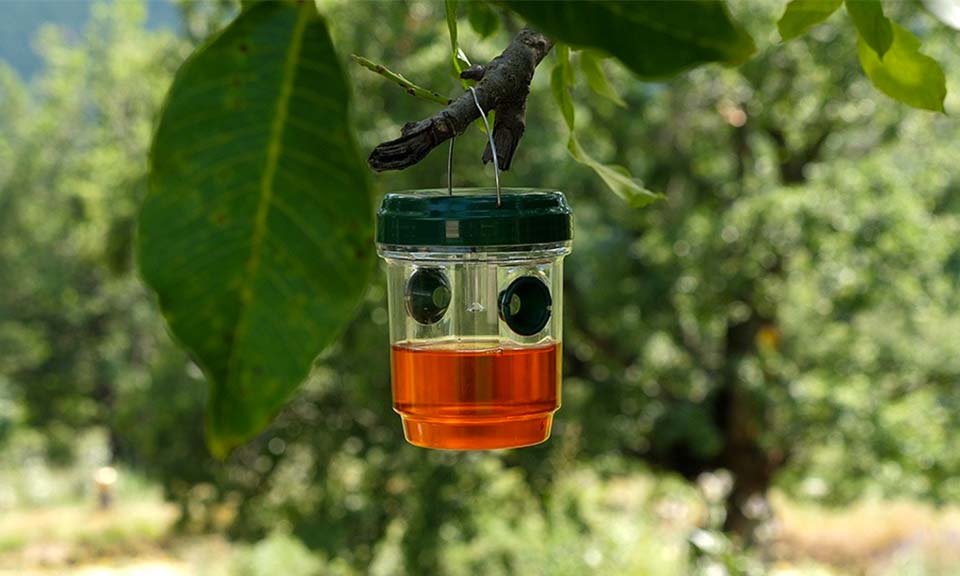 Piège à insectes solaire Moustiques et Guêpes - SUNPOWER TRAP